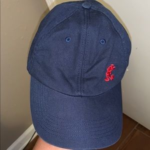 Disney World Hat
